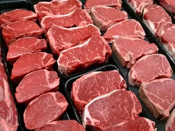 قیمت گوشت قرمز امروز ۵ شهریور ۱۴۰۵