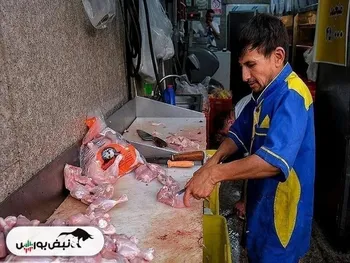 قیمت مرغ امروز شنبه ۲ اسفند ۱۴۰۴