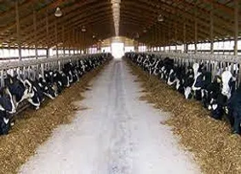 بازگشایی در این نماد