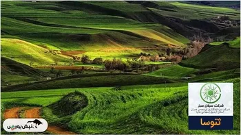 ثتوسا با دشت مغان  سبز  می‌شود