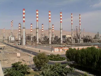 عملکرد خوب شبندر در بهار ۱۴۰۱