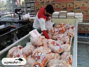 قیمت جدید مرغ و تخم مرغ یکشنبه ۱۴۰۴/۱۲/۰۳