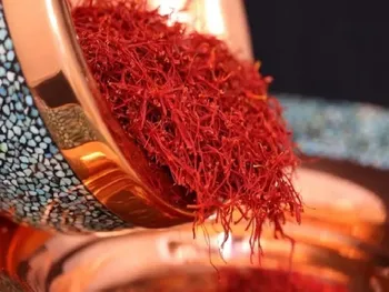 بیش از ۹۰ درصد صادرات زعفران ایران به نام برند ایرانی نیست