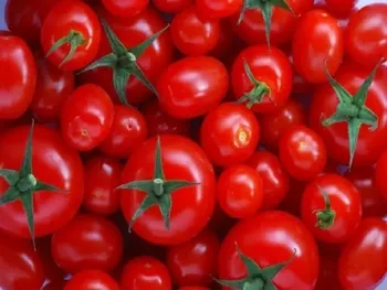 قیمت گوجه فرنگی به ۷۰ هزارتومان رسید