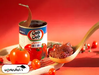 مجمع غچین | سود مجمع غچین چقدر بود؟