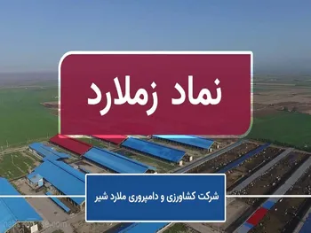 دلیل توقف نماد زملارد چیست؟