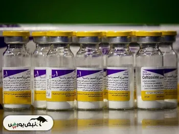 کدال کاسپین | برای سرمایه گذاری مناسب است؟