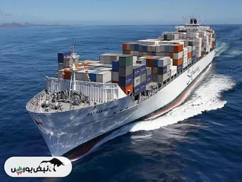 افشای اطلاعات باعث توقف این نماد شد