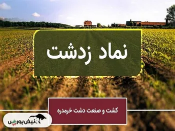 سهامداران زدشت بخوانند: باغ زیتون دردسرساز شد؟
