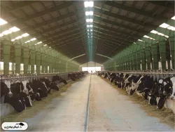 زپارس؛ رشد نسبی درآمد، اما ناکامی در کنترل هزینه‌ها و افت سودآوری