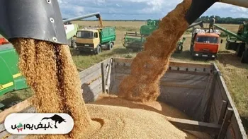 جنگ تجاری روسیه و اروپا به بخش غلات رسید
