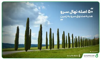 50 اصله نهال سرو در تهران به زمین هدیه شد