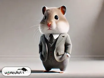 کد مورس همستر امروز ۲۸ مرداد + آموزش وارد کردن