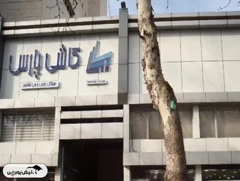 کارنامه مردودی محمدمهدی تندگویان در کپارس | این شرکت چگونه پیش می رود؟