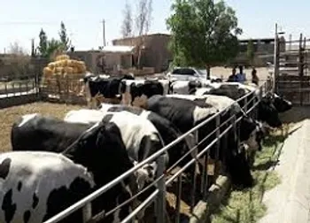 بازگشایی نماد معاملاتی (تلیسه ۱)