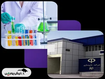 زیر سوال بردن منافع سهامداران | آیا دکوثر و دامین پاسخگو هستند؟