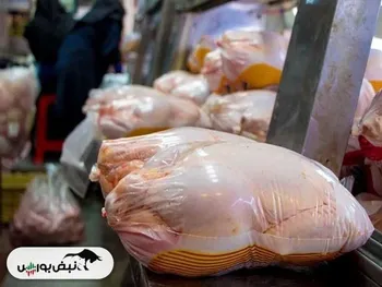 حداکثر قیمت مرغ گرم ۹۰ هزار تومان