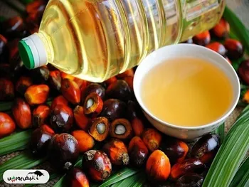 برگزاری مجمع غدانه