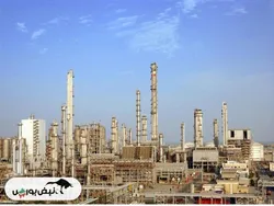 اوضاع و احوال آروماتیک ساز‌ها بررسی شد | نوری بهتر بود یا بوعلی؟