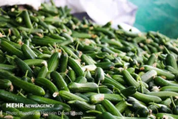 قیمت خیار چقدر شد؟