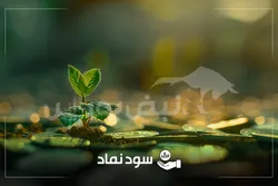کدام نمادها سریع‌تر سود می‌دهند؟ خوش حساب ترین نمادها در ۴ سال اخیر