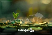 کدام نمادها سریع‌تر سود می‌دهند؟ خوش حساب ترین نمادها در ۴ سال اخیر