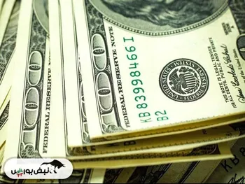 رشد آرام دلار نیما | امسال دلار نیما چه عددی را به خود خواهد دید؟