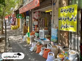 قیمت جدید برنج ایرانی و خارجی در بازار امروز ۲۹ بهمن ۱۴۰۴