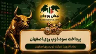 سود فروی ۱۴۰۵ کی واریز می‌شود و چقدر است؟