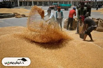 دومینوی کاهش شاخص قیمت جهانی مواد غذایی