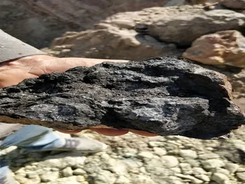 کمنگنز در دوره ۵ ماهه چگونه عمل کرد؟