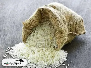 ورود برنج پاکستانی به شبکه توزیع بازار تا ۱۰ روز آینده