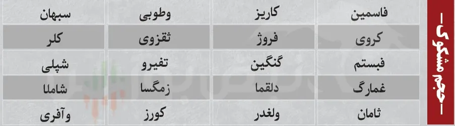 ترین های بورس