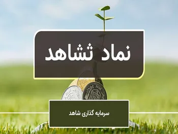 کاهش بیش از ۳۰ درصدی قیمت سهام در این نماد