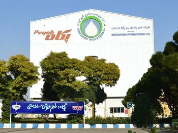 عملکرد ۶ ماهه غشان بررسی شد