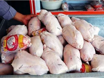 از وضعیت بازار مرغ چه خبر؟