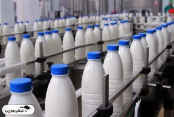 دو شرکت افشا زدند، شیر هم گران شد!