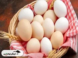 اثر کالابرگ بر بازار مرغ و تخم‌مرغ