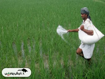 اتفاقی مهم برای اوره | محدودیت های صادراتی جدید چین