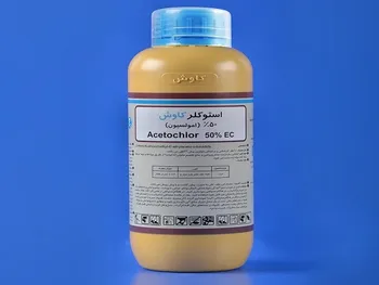 شسم برای سرمایه گذاری مناسب است؟