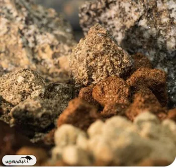 رقابت بر سر قطب شمال/ ذخایر معدنی حیاتی توجه جهان را جلب کرد