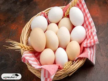 قیمت جدید تخم مرغ اعلام شد