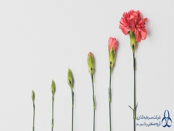 بازگشایی این نماد حداکثر تا ساعت ۱۰