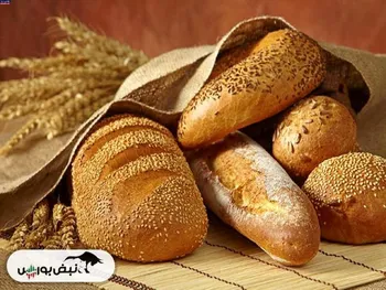 صادرات نان صنعتی ممنوع شد