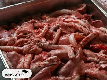 قیمت گوشت قرمز امروز ۲۹ بهمن ۱۴۰۴