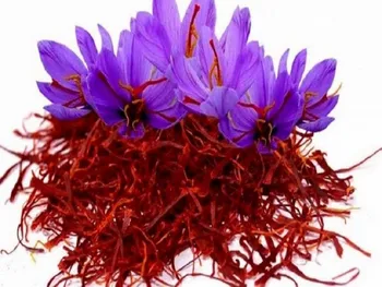 قیمت انواع زعفران امروز ۶ فروردین ۱۴۰۵