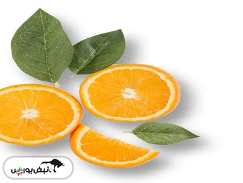 کدال غنوش | رشد ۳۶۲ درصدی فروش طی ۱ ماه