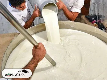 شیر خام ۵ ماهه اندازه ۵۰ سال گران شد