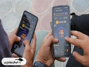 قیمت همستر کامبت معلوم شد