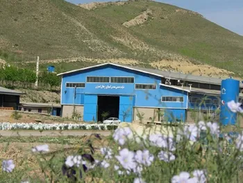 افزایش قابل توجه درآمداین نماد در تابستان